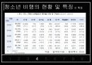 [청소년복지, 청소년 문제] 청소년 비행의 현황과 특징 및 청소년 비행 대책방안 11페이지