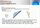 [신재생에너지]바이오에너지에 대한 이해와 특징 및 향후 전망 및 활용방안[2012년 A+추천 레포트★★★★★] 8페이지