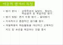 [비고츠키, 인지발달이론, 피아제 ] 비고츠키의 인지적 발달 이론에 대한 이해와 피아제 이론 비교 분석 [2012년 A+추천] 17페이지