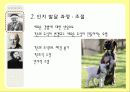 피아제, 프로이트, 에릭슨의 발달이론 비교 분석과 시사점 및 우리나라의 교육 (2012년 추천 우수) 7페이지
