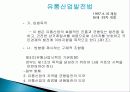 SSM에 대한 이해와 실태 및 유통산업법의 문제점 개선방안 - SSM에 대한 고찰 (2012년 추천 우수) 5페이지
