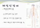 중추신경계, 체성신경계, 자율 신경계에 대한 이해와 사진들 (2012년 추천 우수) 6페이지