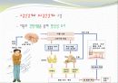 중추신경계, 체성신경계, 자율 신경계에 대한 이해와 사진들 (2012년 추천 우수) 12페이지