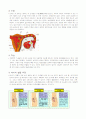 [성심리학] 임신과정, 수유, 피임, 낙태에 대한 모든 것 (2012년 추천 우수) 4페이지