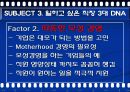가장 일하고 싶은 기업 SAS의 조직혁신 성공사례 분석 및 기업분석(2012년 추천 우수 레포트 선정★★★★★) 33페이지