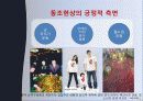 마녀사냥의 사례, 현대의 마녀사냥, 특징 예시, 영향, 문제점 및 개선방안(2012년 추천 우수 레포트 선정★★★★★) 42페이지