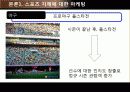 스포츠 마케팅 전략 스포츠마케팅의 정의와 특징 및 스포츠 마케팅 성공 사례 분석(2012년 추천 우수 레포트 선정★★★★★) 16페이지