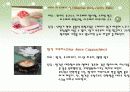 [커피에 대한 모든 것] 커피의 기원, 종류, 특징 및 제조방법등 커피에 얽힌 모든 이야기 31페이지