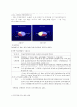[학교운영위원회, 교육위원회 등 교육 위원회 분석]학교운영위원회, 교육위원회, 교육감의 현황과 특징 및 문제점 개선방안(2012년 추천 우수 레포트 선정) 7페이지