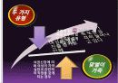 [가족문제, 사정도구] 가족문제 해결위한 주요한 사정도구 분석과 가족 사회복지사의 역할 (2012년 추천 우수 레포트 선정★★★★★) 19페이지