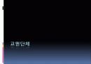 [교원단체, 교원노조 분석]교원단체, 교원노조 분석, 특징과 장단점, 한계점 및 향후 개선방안(2012년 추천 우수 레포트 선정★★★★★) 5페이지
