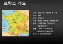 [프랑스 사회의 모든 것] 프랑스의 사회,문화,경제,정치 등등 모든 것 분석(2012년 추천 우수 레포트 선정★★★★★) 4페이지