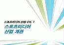 스포츠 미디어산업,스포츠 미디어 산업의 현황과 문제점 및 발전방향 3페이지