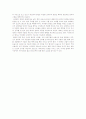 [오스만 제국의 모든것] 오스만 제국의 역사, 정치, 경제, 사회, 문화 상세분석 레포트(2012년 추천 우수 레포트 선정★★★★★) 76페이지