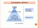 서울 G20 정상회의 6페이지