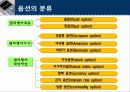 옵션이란 5페이지