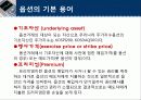 옵션이란 10페이지