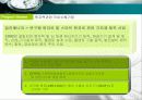 국책사업 - 한국 수출국책산업의  경쟁력과 전망 그리고 관련 기업분석 26페이지