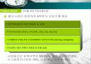 국책사업 - 한국 수출국책산업의  경쟁력과 전망 그리고 관련 기업분석 28페이지