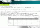 국책사업 - 한국 수출국책산업의  경쟁력과 전망 그리고 관련 기업분석 30페이지
