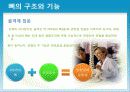 성인질환과 운동처방 - 골다공증osteoporosis 9페이지