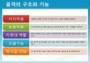 성인질환과 운동처방 - 골다공증osteoporosis 10페이지
