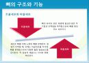 성인질환과 운동처방 - 골다공증osteoporosis 13페이지