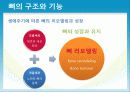 성인질환과 운동처방 - 골다공증osteoporosis 14페이지