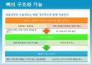 성인질환과 운동처방 - 골다공증osteoporosis 15페이지