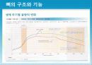 성인질환과 운동처방 - 골다공증osteoporosis 16페이지