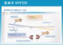 성인질환과 운동처방 - 골다공증osteoporosis 21페이지