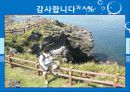 인간행동과 사회환경 총론 28페이지