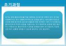 위기개입 모델 13페이지