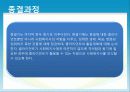 위기개입 모델 15페이지