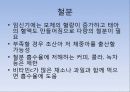 임신기 영양관리 3페이지