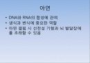 임신기 영양관리 5페이지