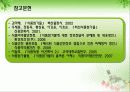 [식품영양학과] 식품첨가물 안전한가요? 32페이지