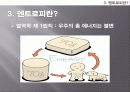 엔트로피(제리미리프킨) PPT 발표자료+대본 5페이지