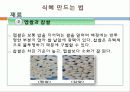 식혜 8페이지