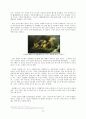 트로이 전쟁 12페이지
