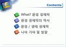 환경경제학에 대한 고찰  2페이지