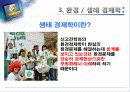 환경경제학에 대한 고찰  11페이지