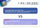 환경경제학에 대한 고찰  13페이지