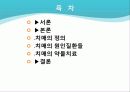 치매의 약물치료 2페이지