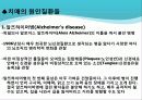 치매의 약물치료 6페이지