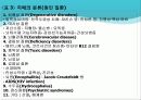 치매의 약물치료 10페이지