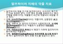 치매의 약물치료 11페이지