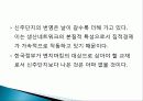 대만 신주 과학단지 16페이지