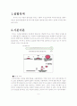 비누제조및 평가 2페이지