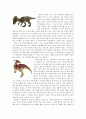 중생대 시대별로 본 공룡 조사 자료 8페이지